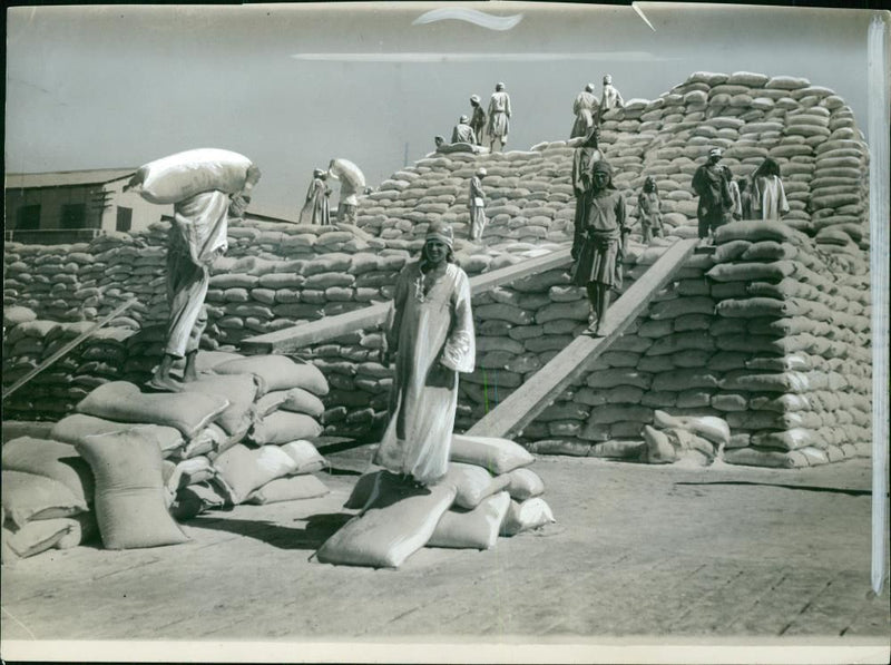 A mountain of sacks of flour from australia is stacked. - Vintage Photograph