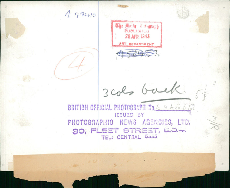 The Axis Prisoners in Tunisia. - Vintage Photograph