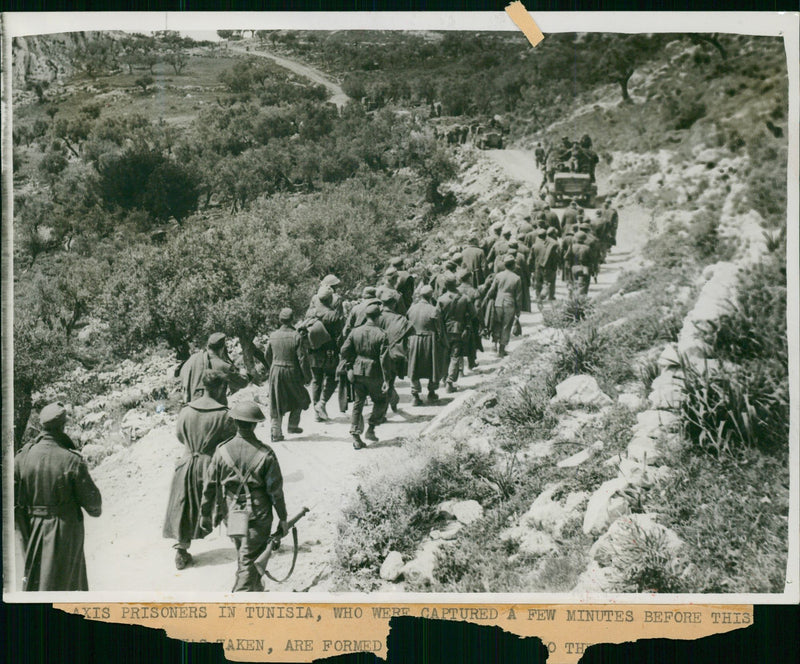 The Axis Prisoners in Tunisia. - Vintage Photograph