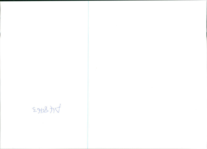 Iranian Child touch the tomb of the great Persian Poet Saadi - Vintage Photograph