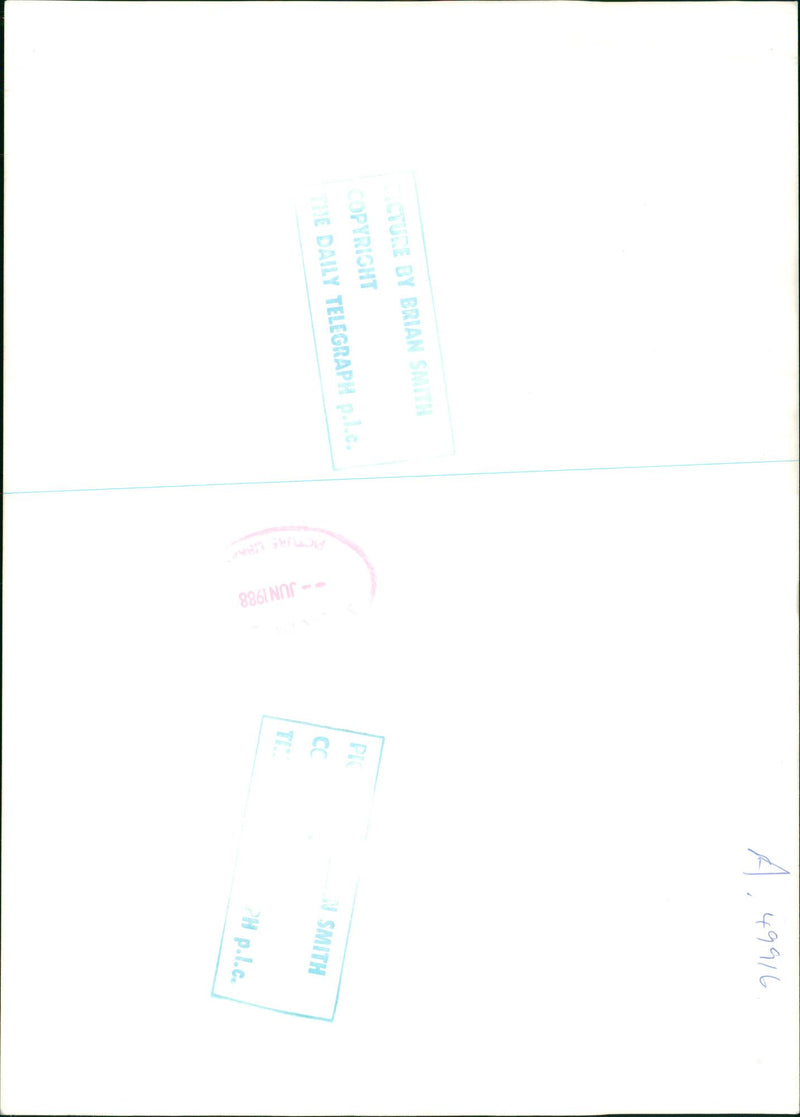 Army - Vintage Photograph