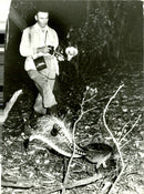 The Lyre Bird - Vintage Photograph