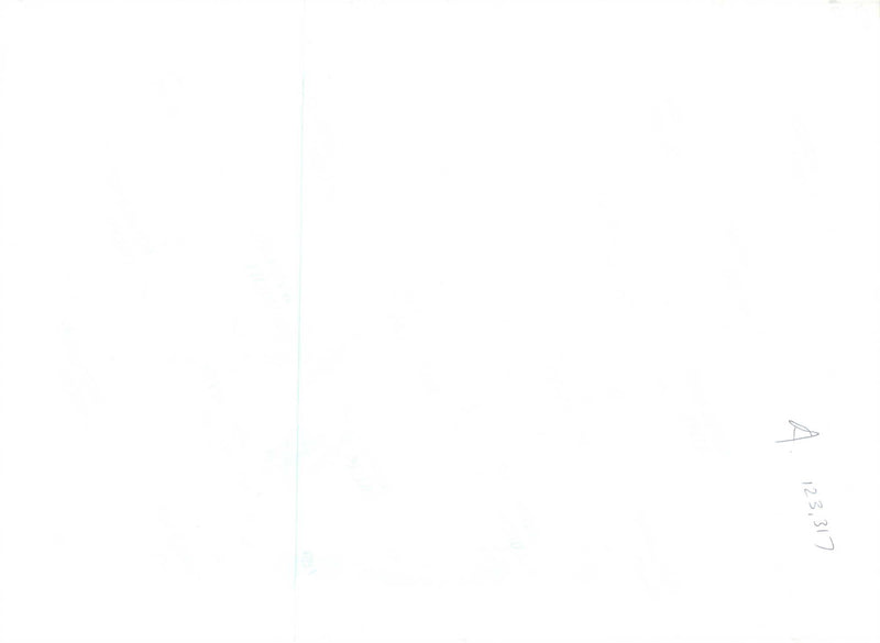 Steve Young American football quarterback. - Vintage Photograph