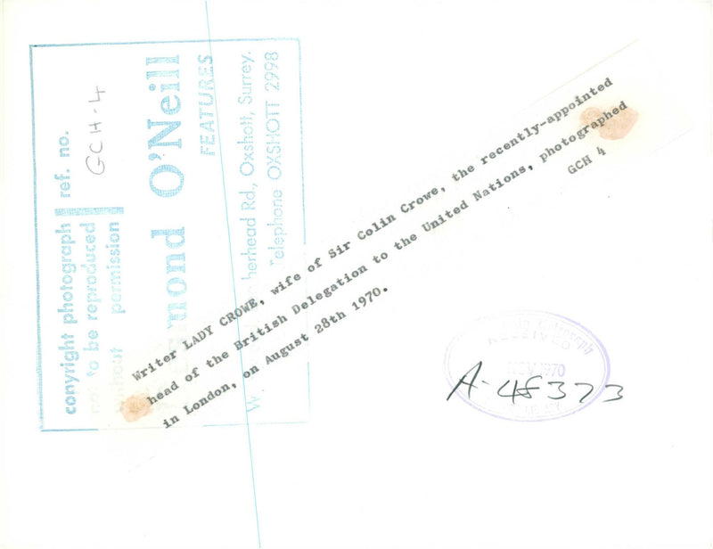 Writer Lady Crowe, wife of Sir Colin Crowe. - Vintage Photograph