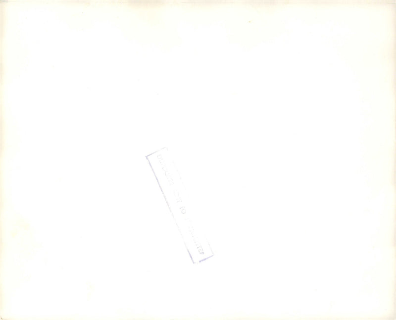 Free Wales Army. - Vintage Photograph