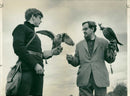 Bird: Falcon - Vintage Photograph