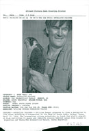 Bird: Falcon - Vintage Photograph