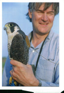 Bird: Falcon - Vintage Photograph