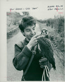 Bird: Falcon - Vintage Photograph