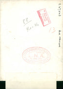 Bird: Falcon - Vintage Photograph