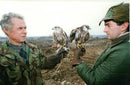 Palconers Andrew Stokes (wearing hat) and. Noel Pannell with falcons Floyd. - Vintage Photograph