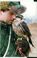 Falconers Andrew Stokes. - Vintage Photograph