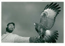 A team in training: Mike Gerrard with the Harris Hawk. - Vintage Photograph