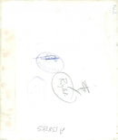 Hawker Siddeley HS.141 in the sky - Vintage Photograph