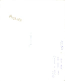 Hawker siddeley hawk. - Vintage Photograph