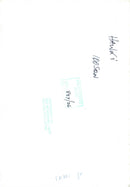 Hawker siddeley hawk. - Vintage Photograph