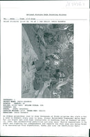 War in Afghanistan. - Vintage Photograph