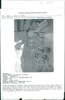 War in Afghanistan. - Vintage Photograph