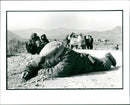 afghan mujihadeen de mining near khost town. - Vintage Photograph