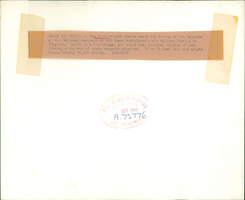 Scout - Vintage Photograph