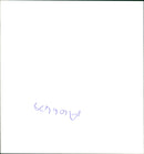 Bugatti cars. - Vintage Photograph