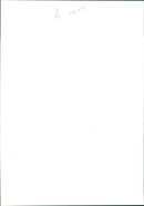 Bugatti cars. - Vintage Photograph