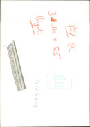 Bugatti cars. - Vintage Photograph