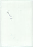 Bugatti cars. - Vintage Photograph