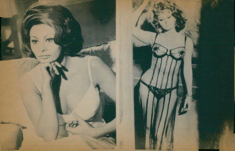 Sophia Loren Film actress. - Vintage Photograph