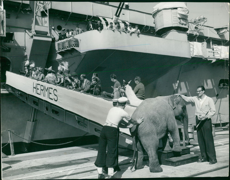 HMS Hermes - Vintage Photograph