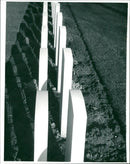 War Graves - Vintage Photograph