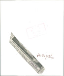 Zita with Archduke Charles. - Vintage Photograph