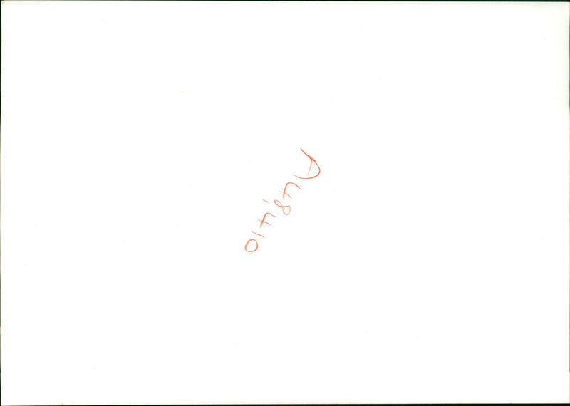 El Alamein battle field. - Vintage Photograph