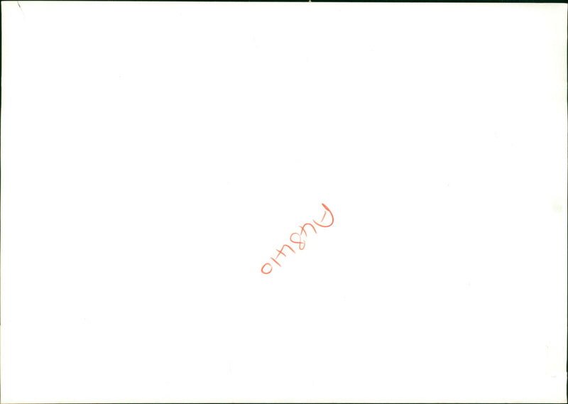 German War truck at el alamein. - Vintage Photograph