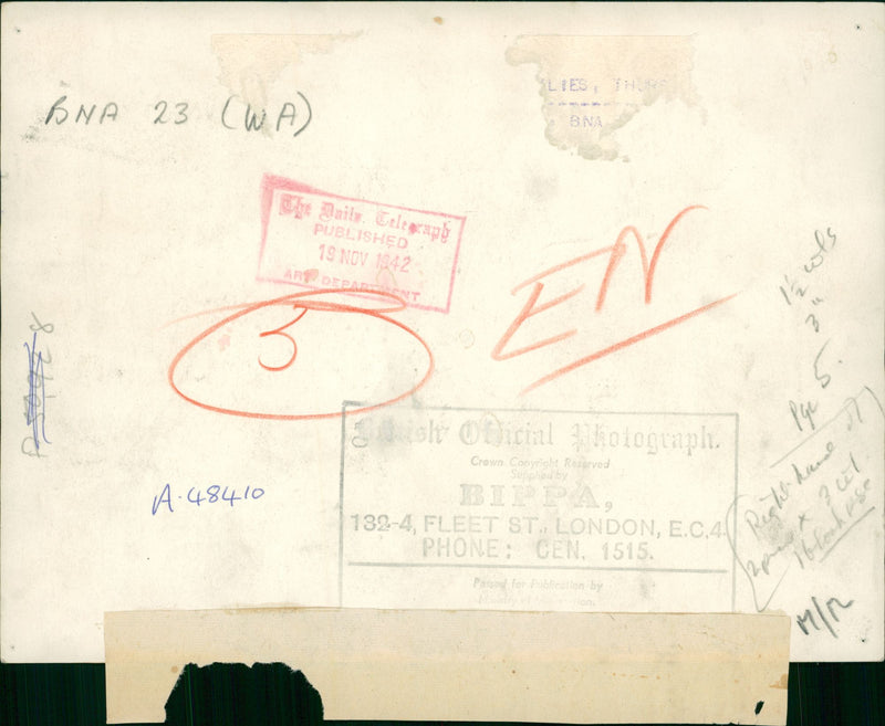 German War: Africa. - Vintage Photograph