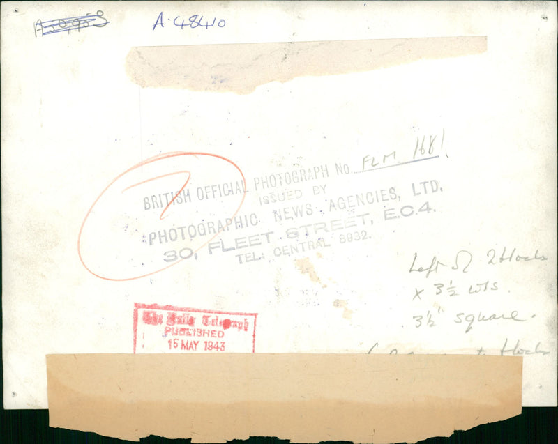 German War: Africa. - Vintage Photograph