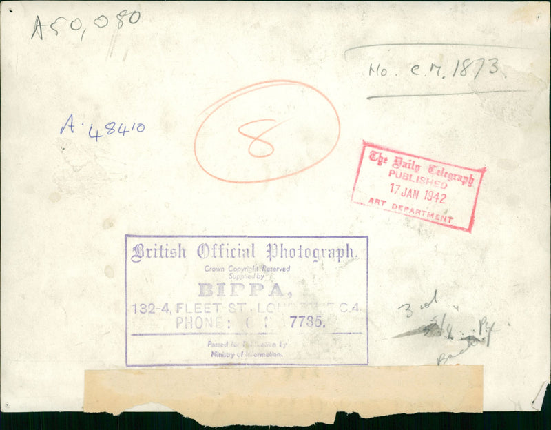 German War: Africa - Vintage Photograph