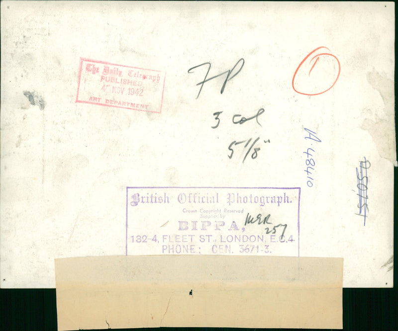 German War Africa. - Vintage Photograph