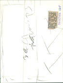 Hugh FitzRoy 11th Duke of Grafton. - Vintage Photograph