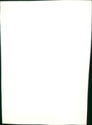 Colette Gleeson with Tommy Steele appeared at the musical "Hans Andersen" - Vintage Photograph