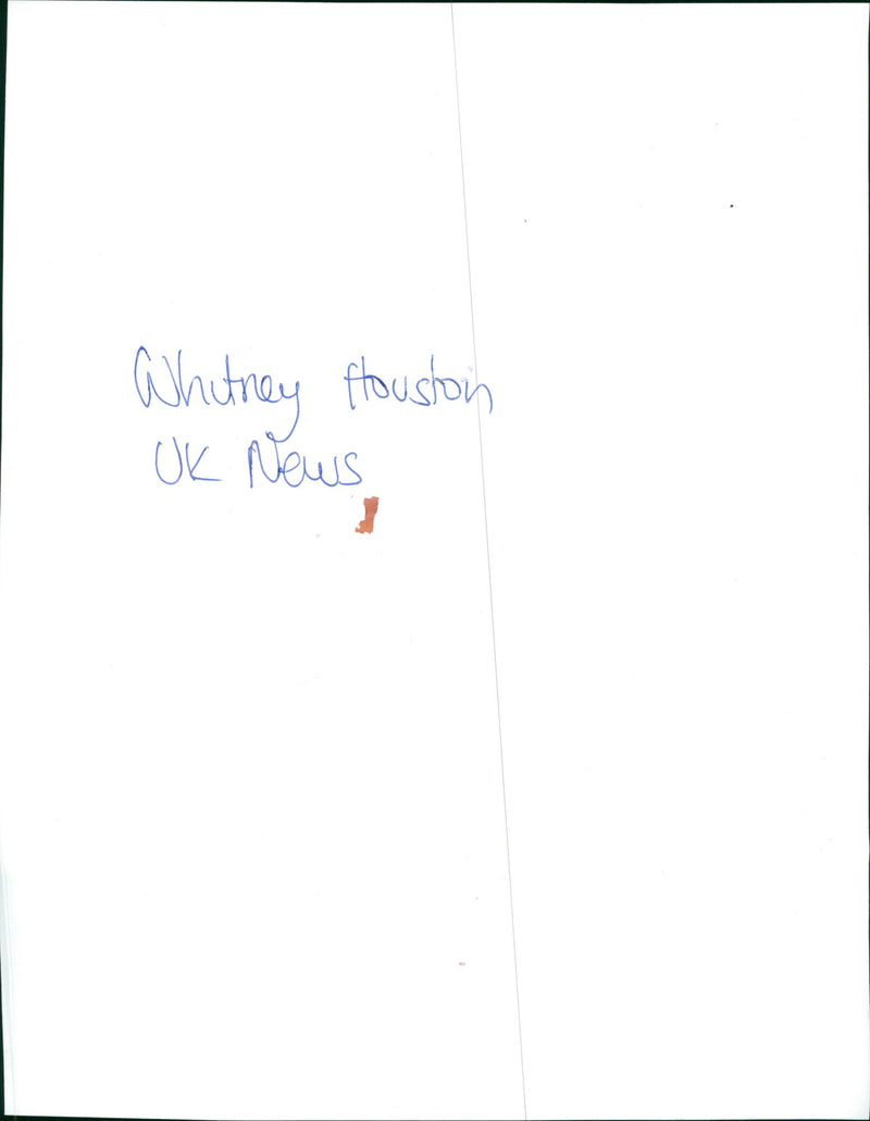 Whitney Houston American singer - Vintage Photograph