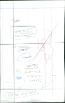 Whitney Houston American singer - Vintage Photograph