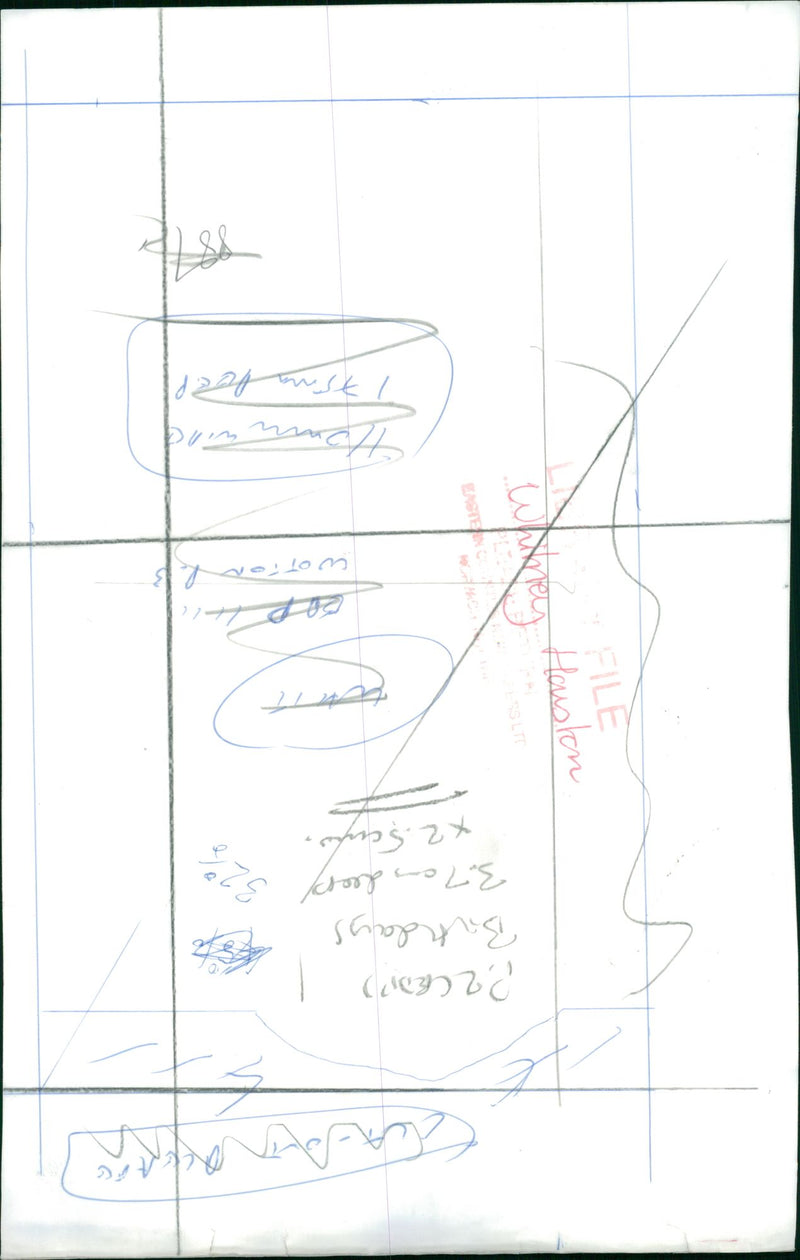 Whitney Houston American singer - Vintage Photograph