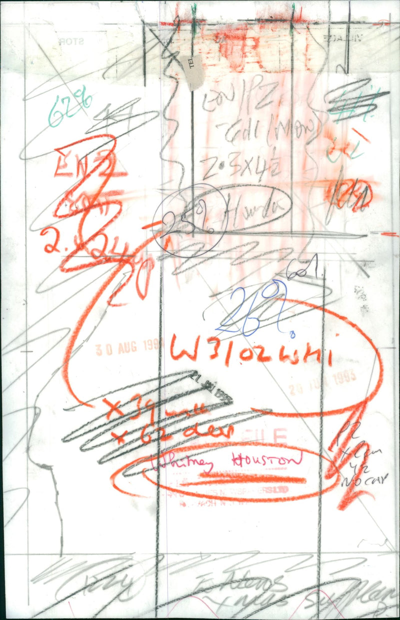 Whitney Houston American singer - Vintage Photograph