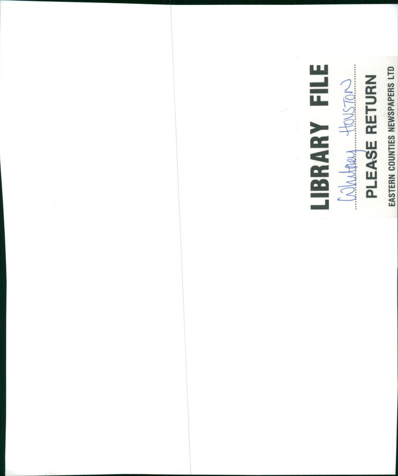 Whitney Houston American singer - Vintage Photograph