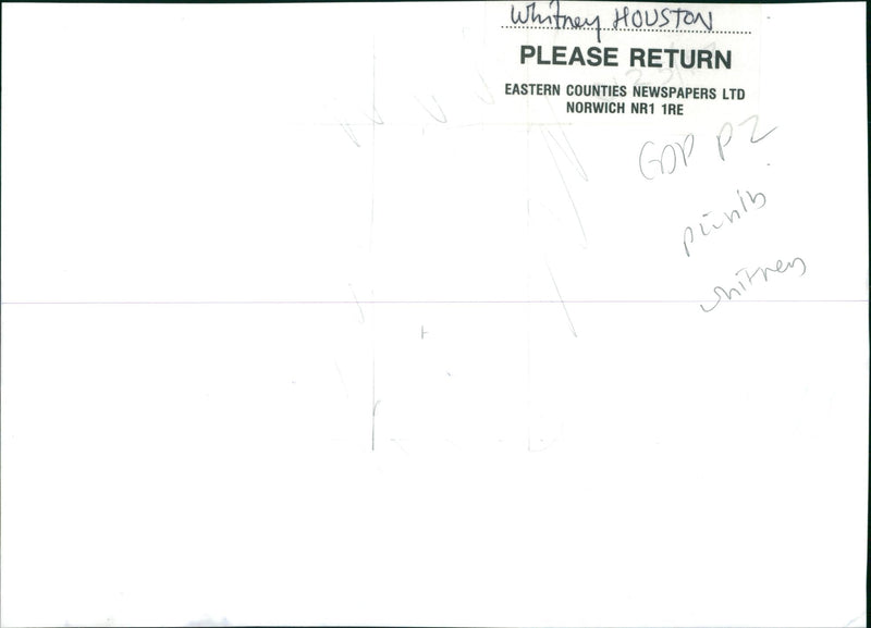 Whitney Houston American singer - Vintage Photograph