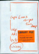 Whitney Houston American singer - Vintage Photograph