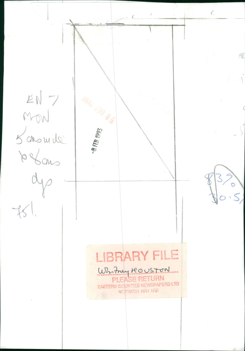 Whitney Houston American singer - Vintage Photograph