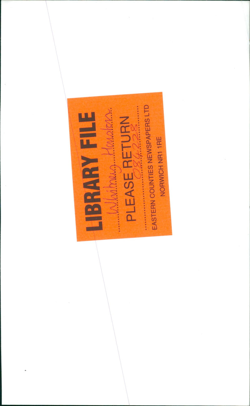 Whitney Houston American singer - Vintage Photograph