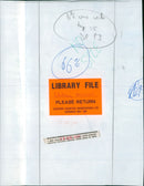 Whitney Houston American singer - Vintage Photograph